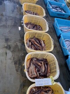 認知度の低い魚介類をセット物にして販売した鮮魚BOX