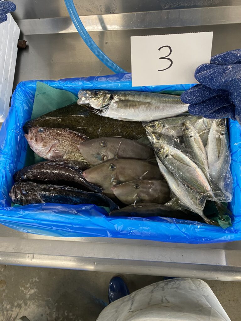 認知度の低い魚介類をセット物にして販売した鮮魚BOX